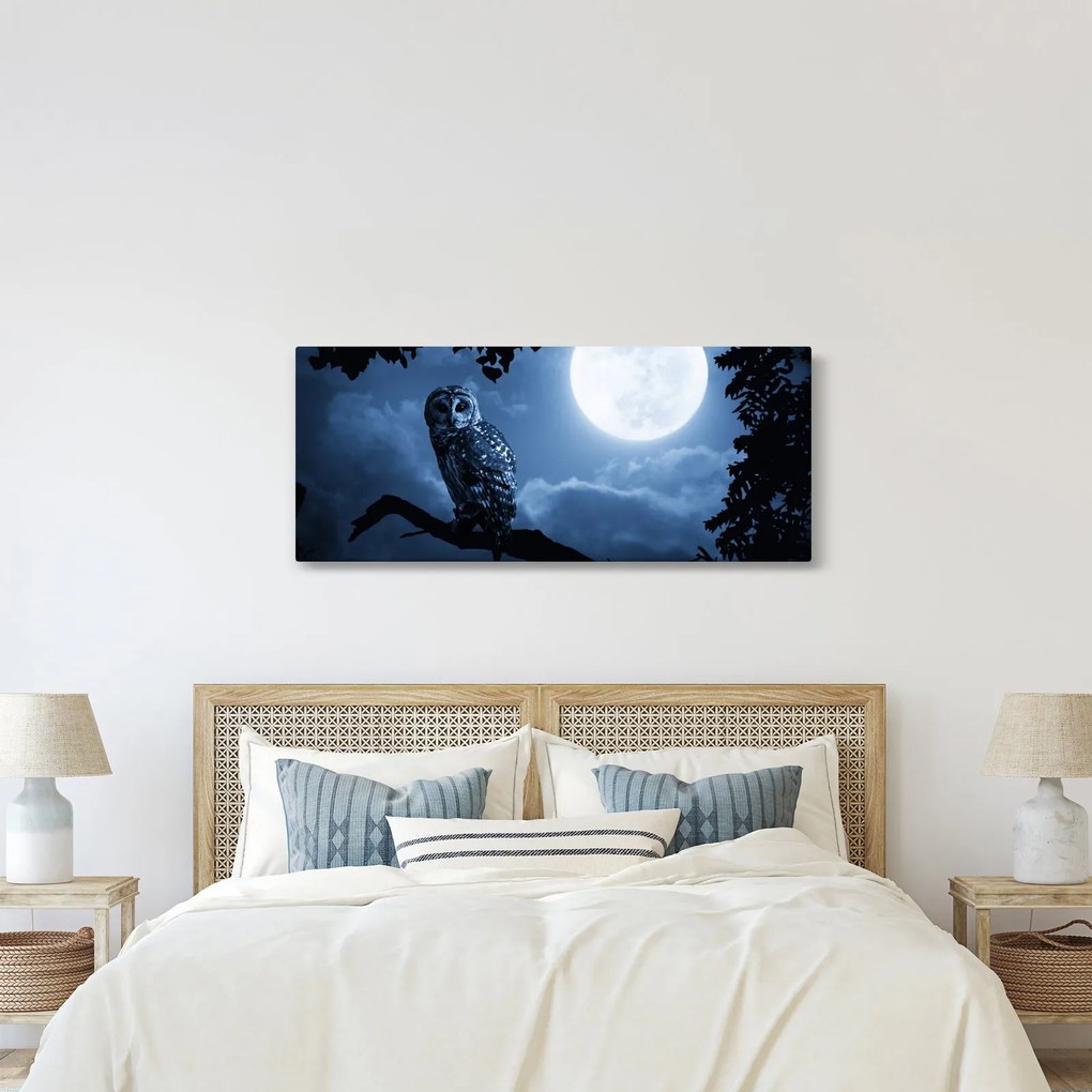 Obraz - Nočná sova (120x50 cm)