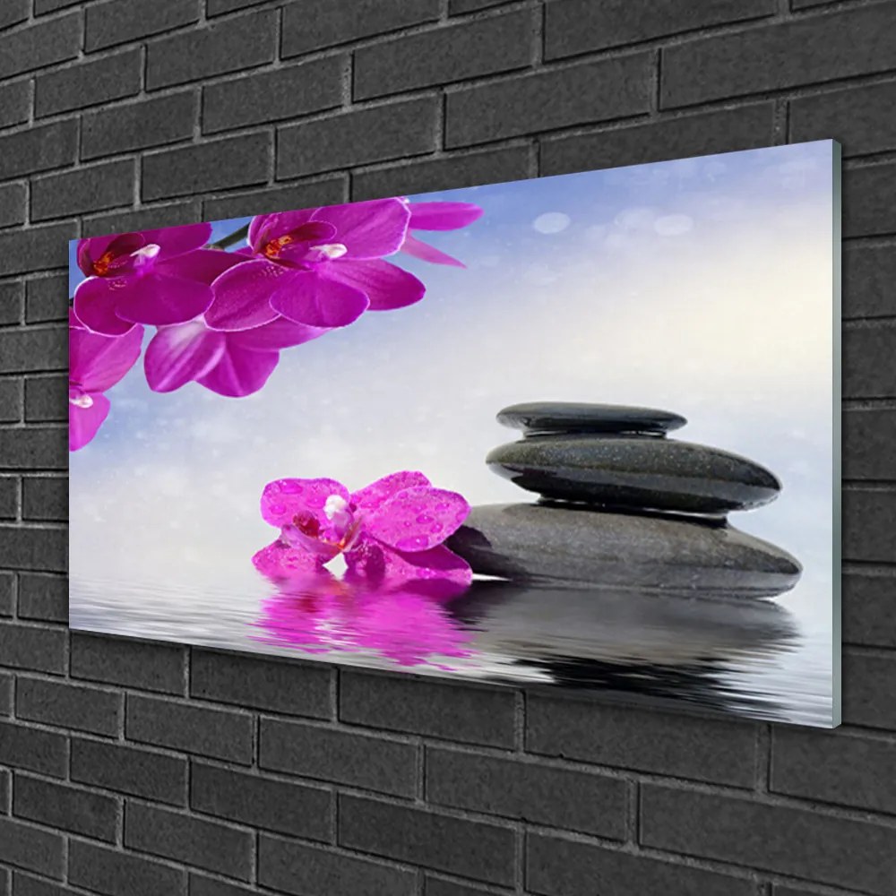 Obraz na skle Kvety kamene rastlina 100x50 cm