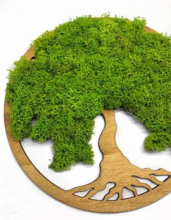 Strom na stenu z machu Arion 30 cm