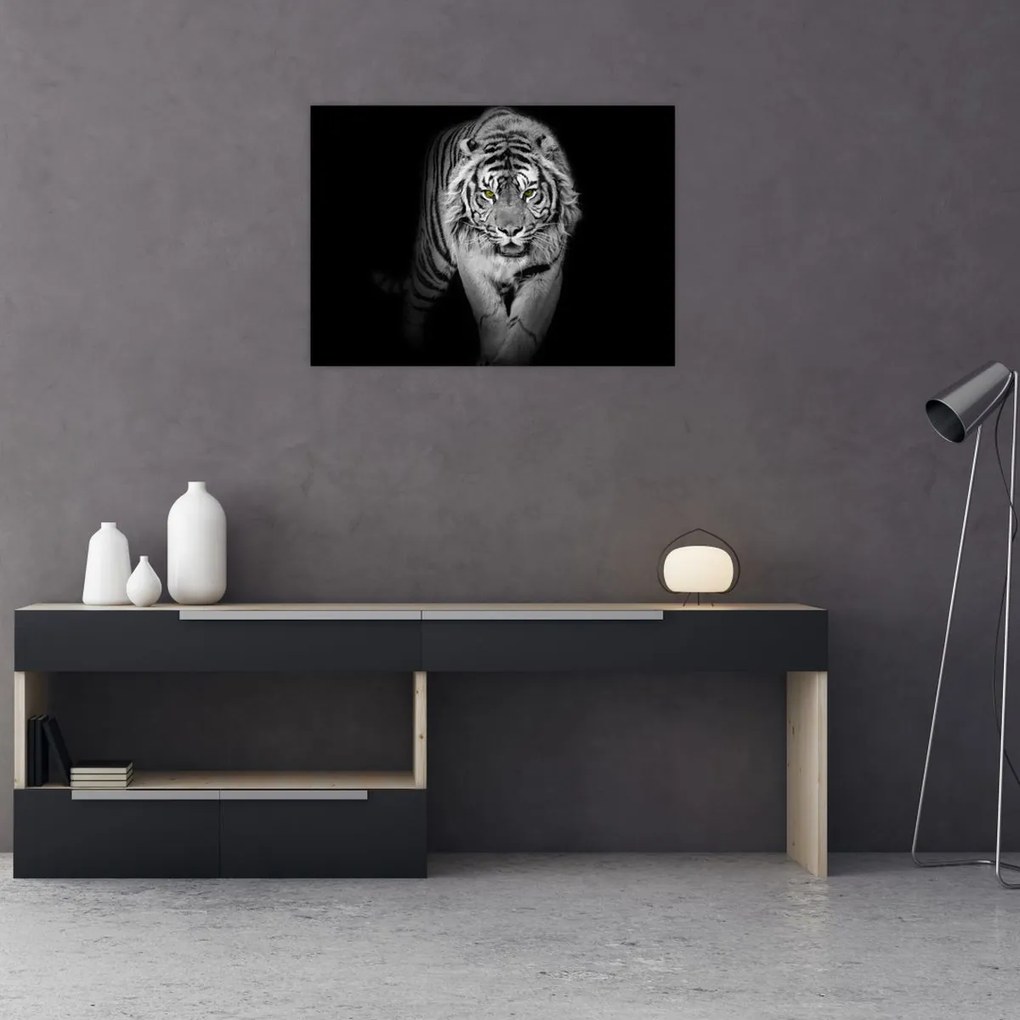 Obraz - Tiger so žltými očami (70x50 cm)