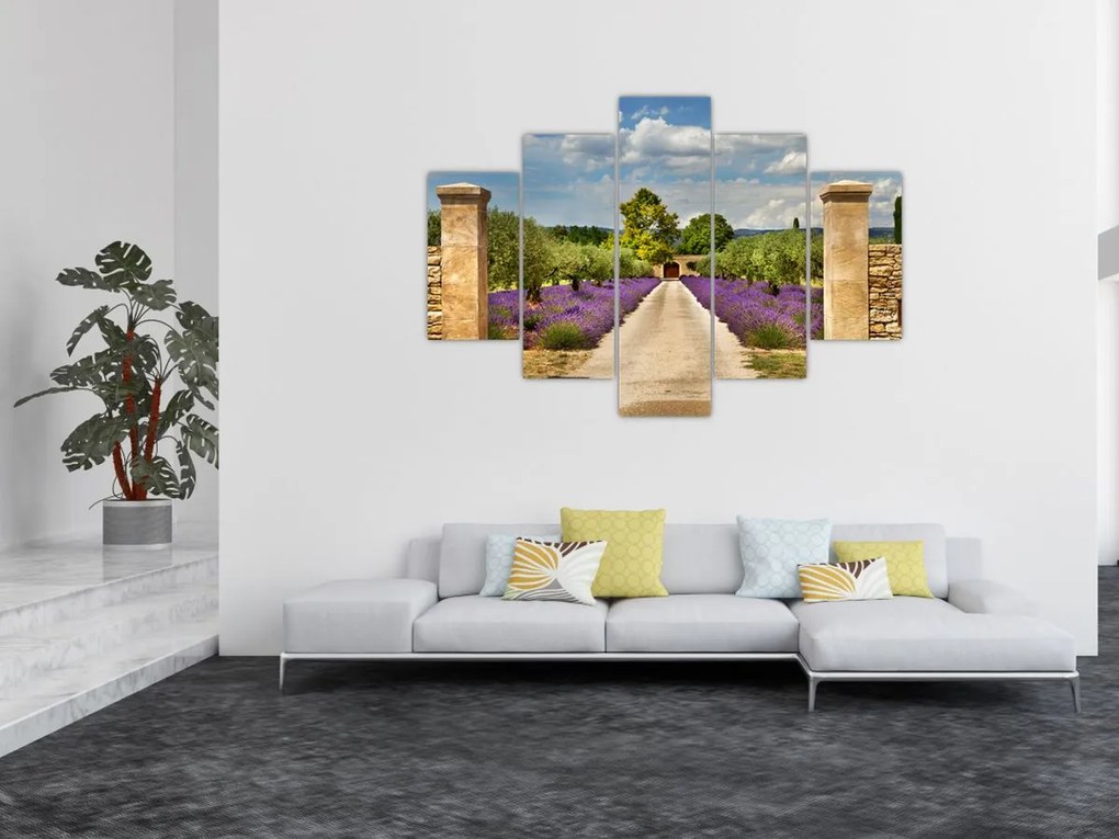 Obraz - Levanduľové cesty (150x105 cm)
