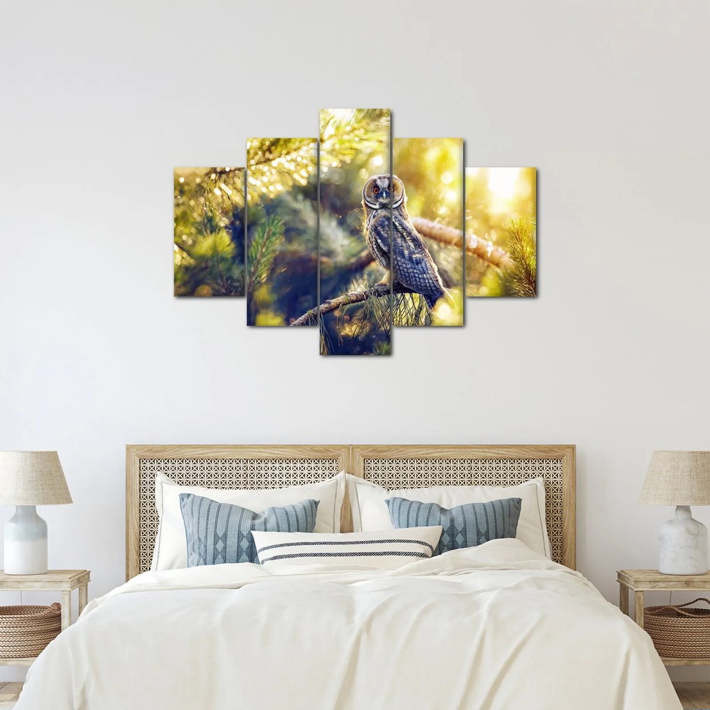 Obraz sovy na strome (150x105 cm)