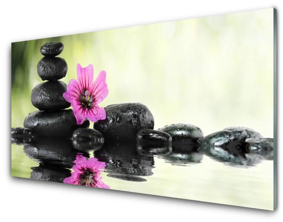 Obraz plexi Kvet kamene umenie 140x70 cm
