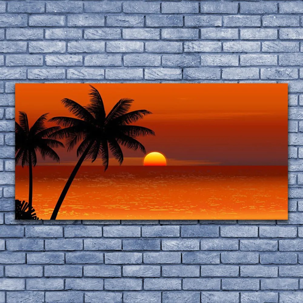 Obraz na akrylátovom skle Palma more slnko krajina 120x60 cm