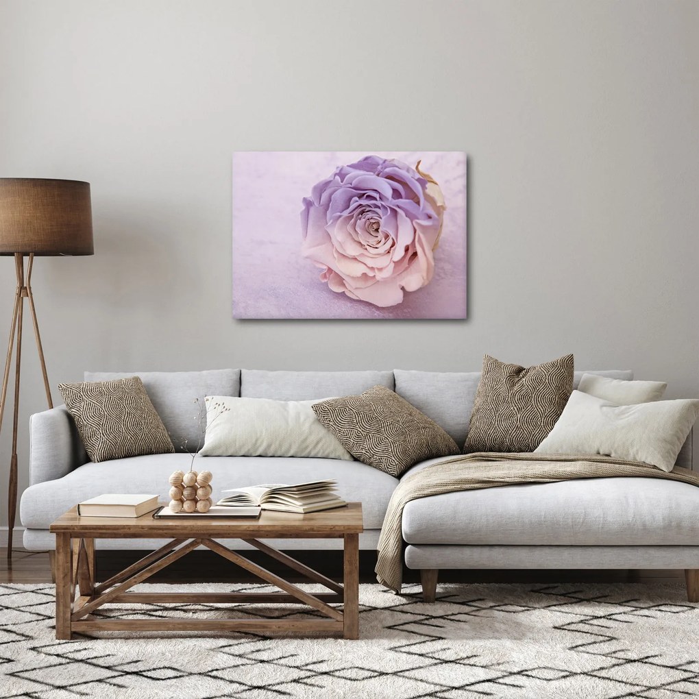 Obraz detailu kvetu ruže (70x50 cm)