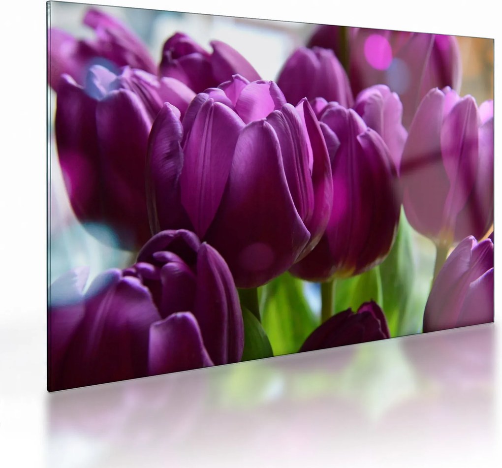 Sklenený obraz tulipánov (70x50 cm)
