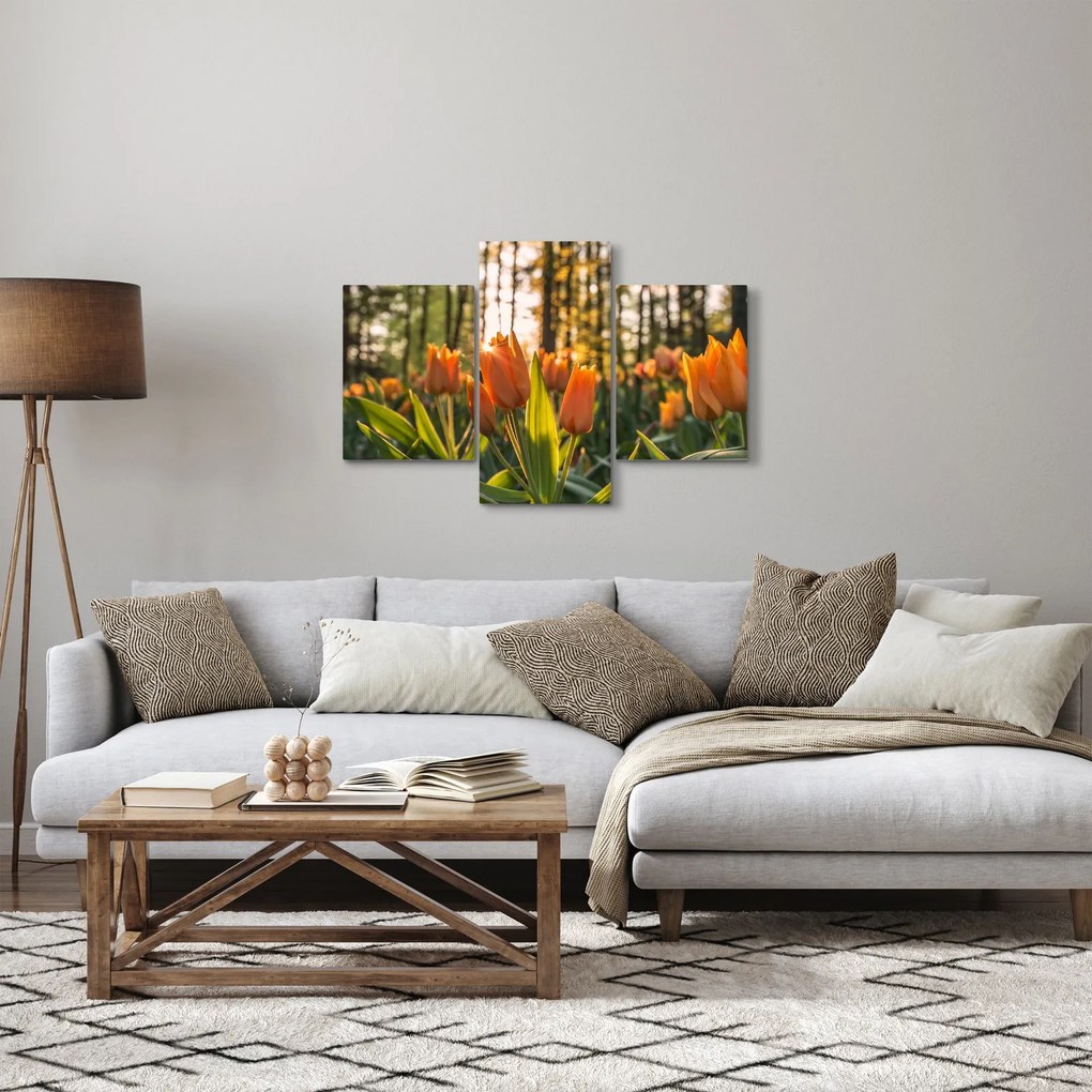 Obraz - oranžové tulipány (90x60 cm)