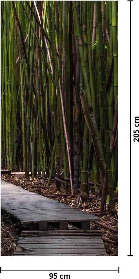 Fototapeta na dvere - Medzi bambusy (95x205cm)