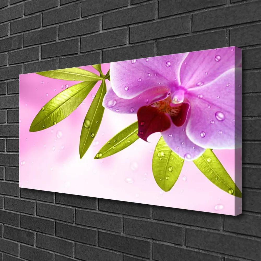 Obraz na plátne Kvet listy rastlina 140x70 cm
