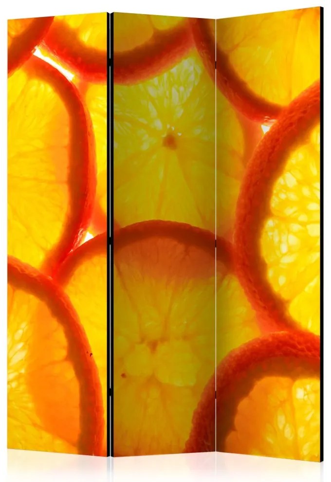 Artgeist Paraván - Orange slices [Room Dividers]