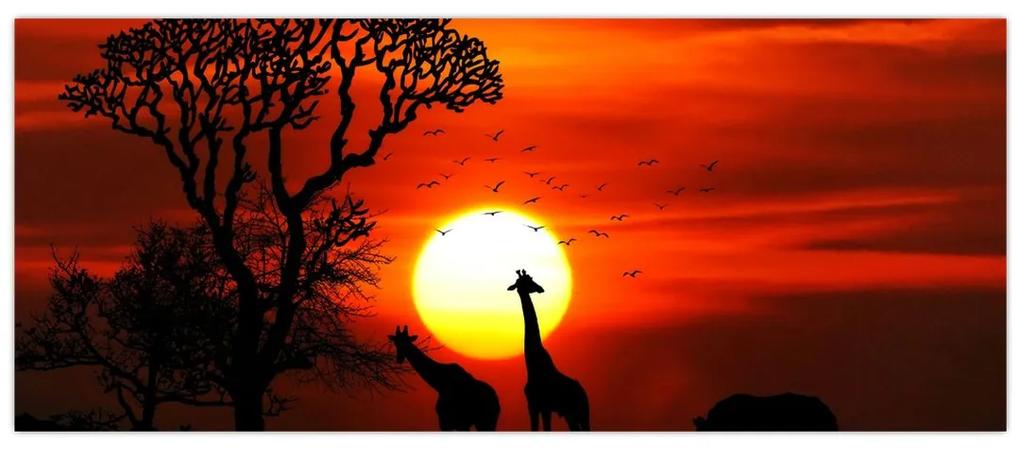 Obraz - Siluety zvierat pri západe slnka (120x50 cm)