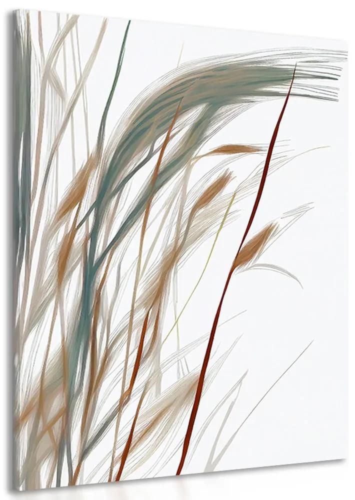 Obraz minimalistické steblá trávy Varianta: 60x90