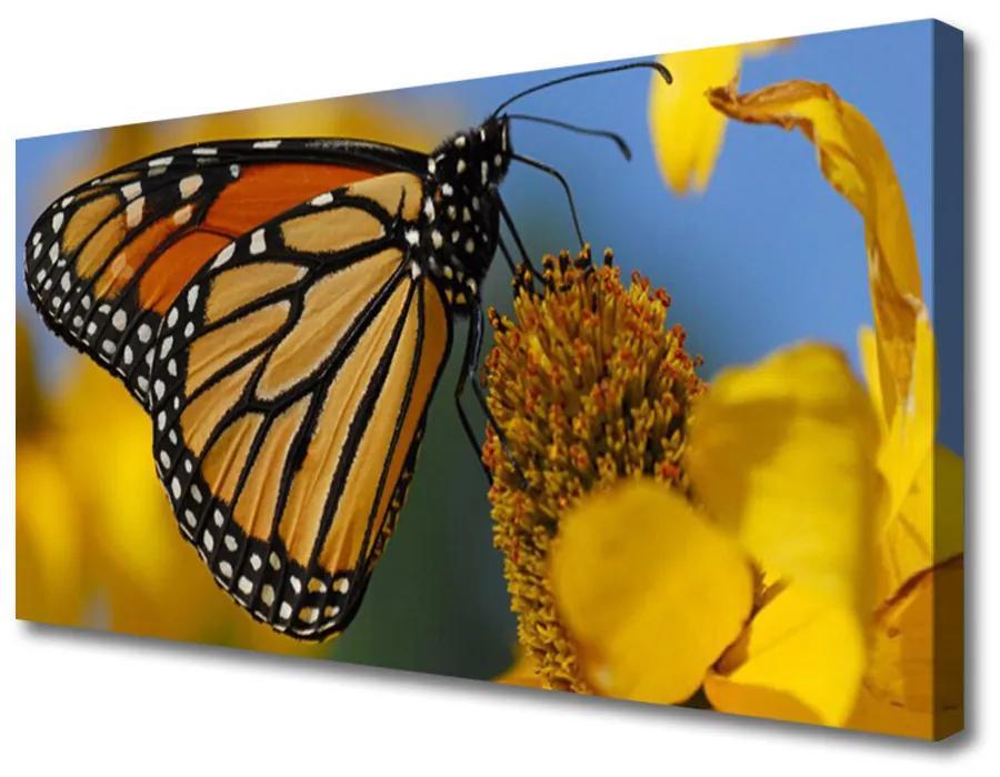 Obraz Canvas Motýľ kvet príroda 125x50cm