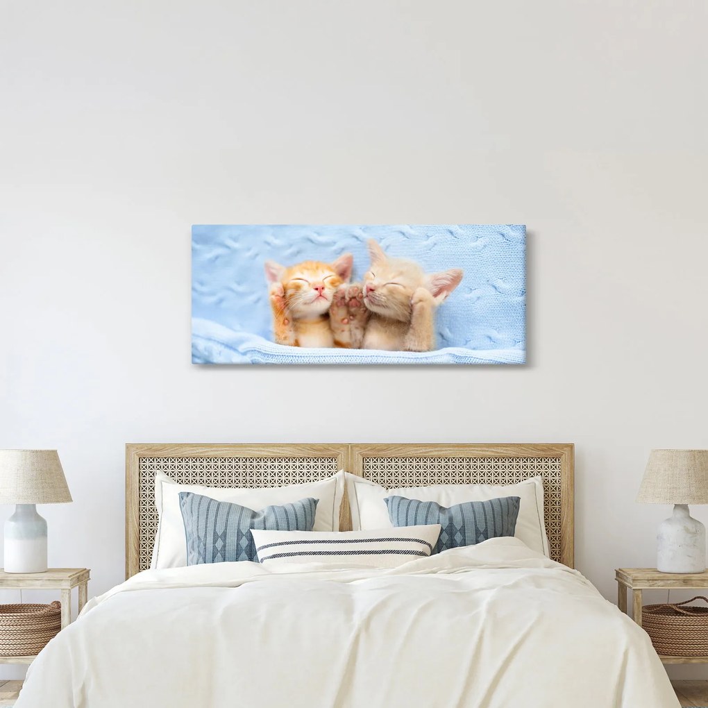 Obraz - Spiace mačiatka (120x50 cm)