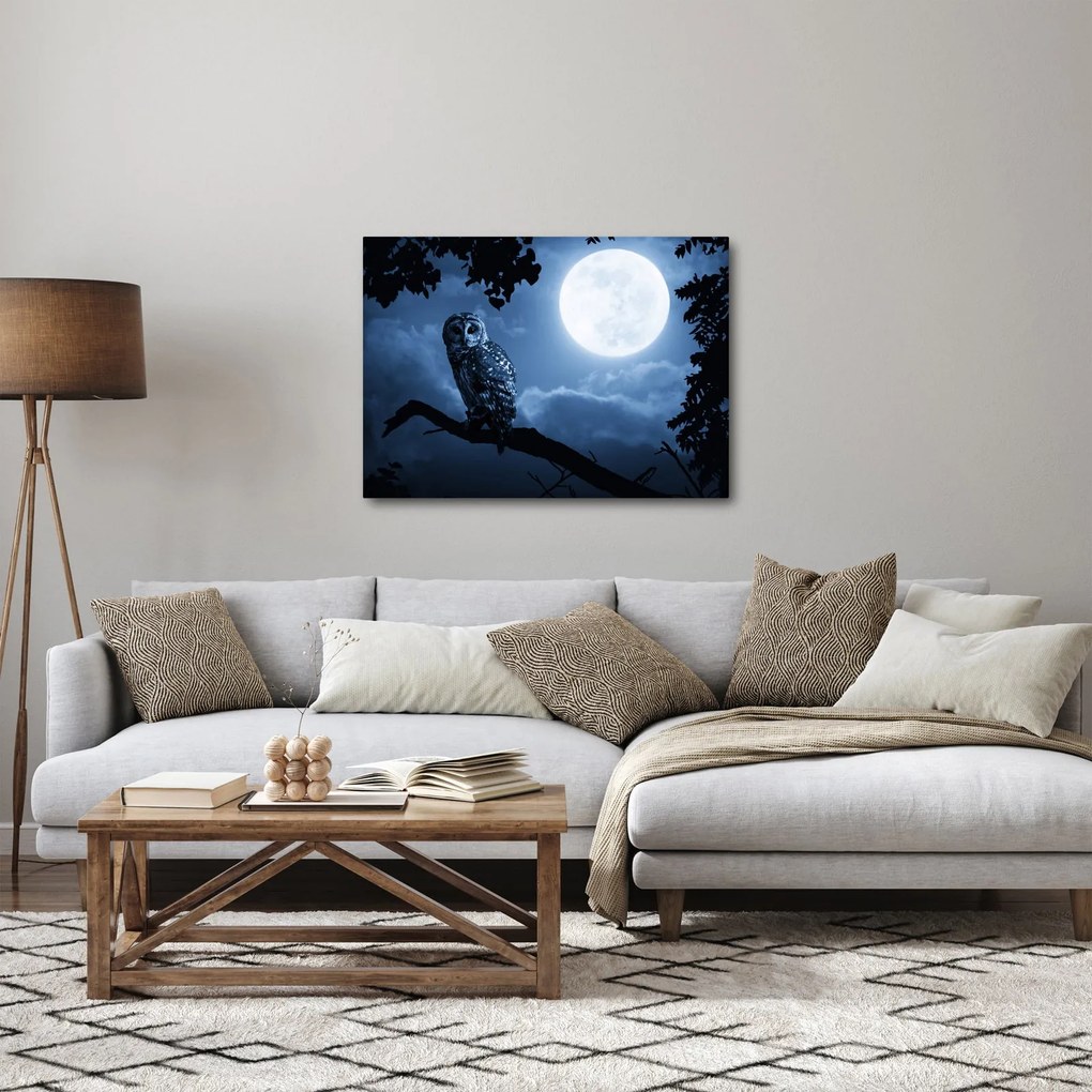 Obraz - Nočná sova (70x50 cm)