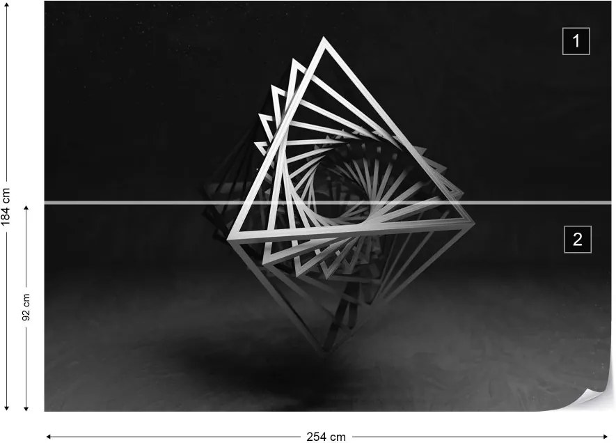Fototapeta GLIX - 3D Black And White Object + lepidlo ZADARMO Vliesová tapeta  - 254x184 cm