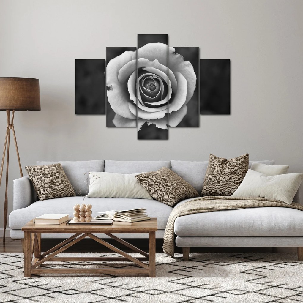 Obraz ruže (150x105 cm)