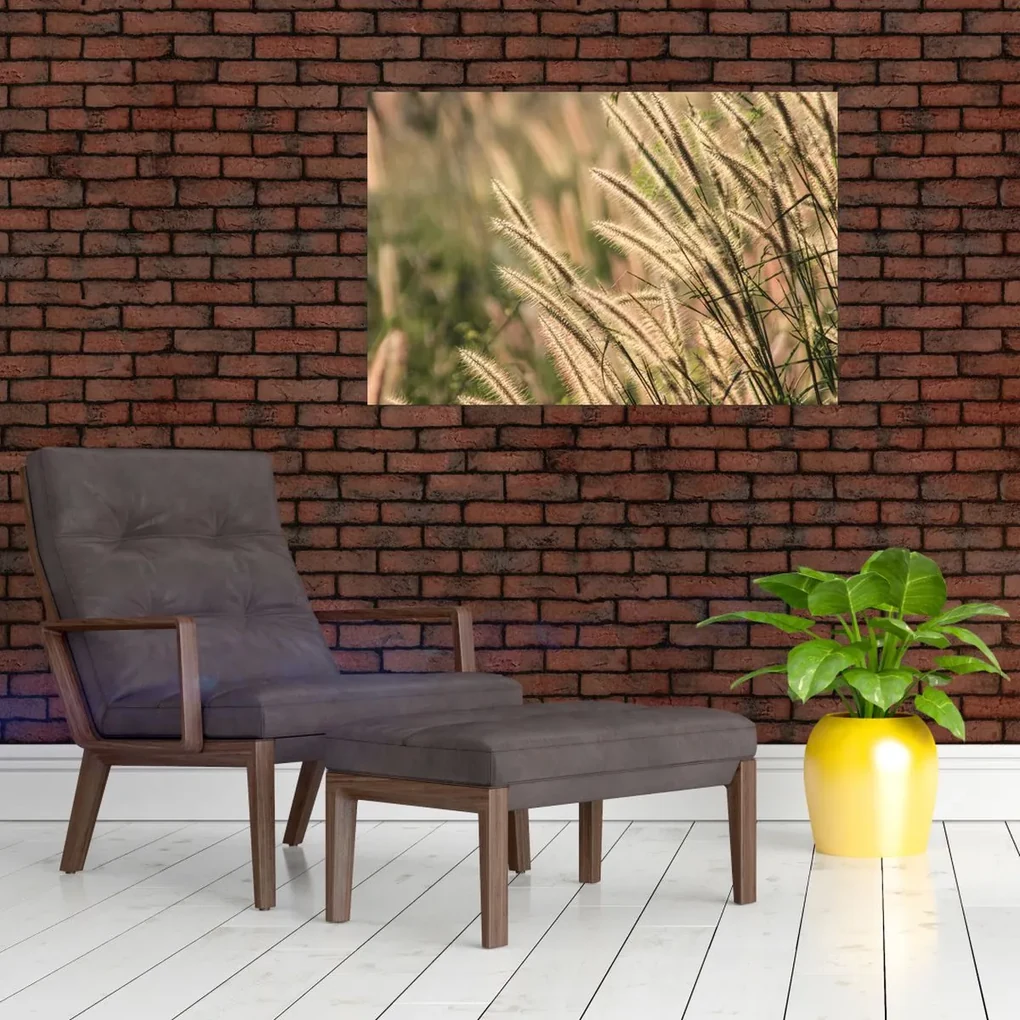 Obraz - Obilie (90x60 cm)