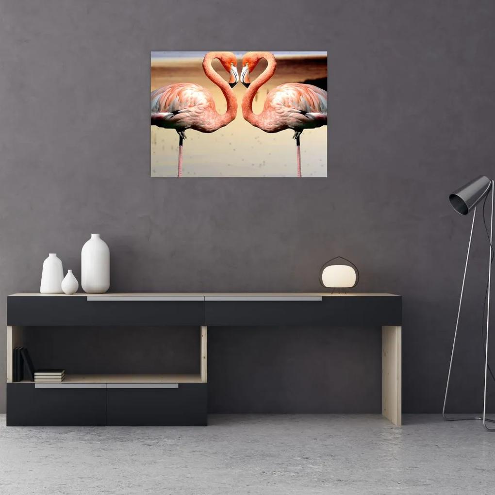 Sklenený obraz - dva plameniaky (70x50 cm)