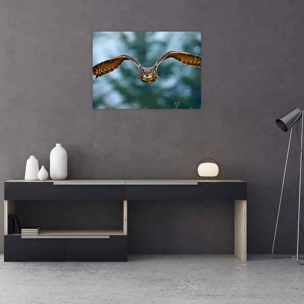 Sklenený obraz - Sova pri lete (70x50 cm)
