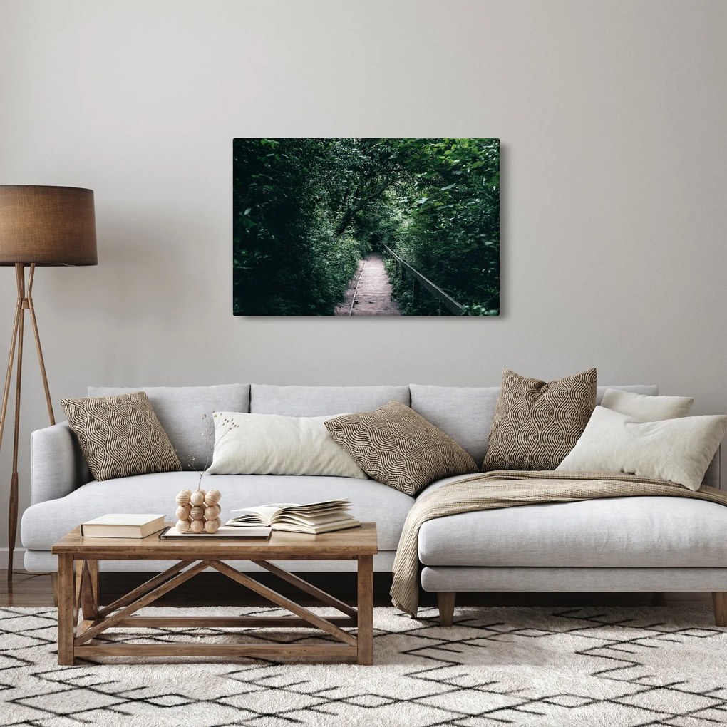 Obraz - Cesta lesom (90x60 cm)