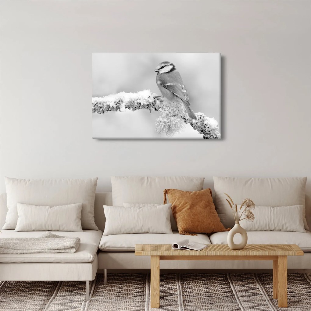 Obraz - Vtáčik na vetve (90x60 cm)