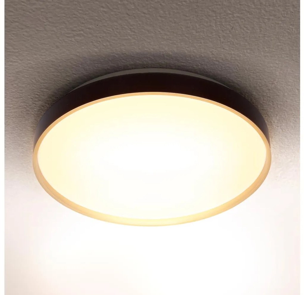Brilagi - LED stropné svietidlo CALA LED/24W/230V