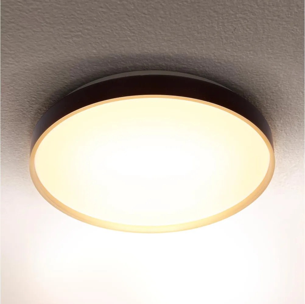 Brilagi - LED stropné svietidlo CALA LED/24W/230V