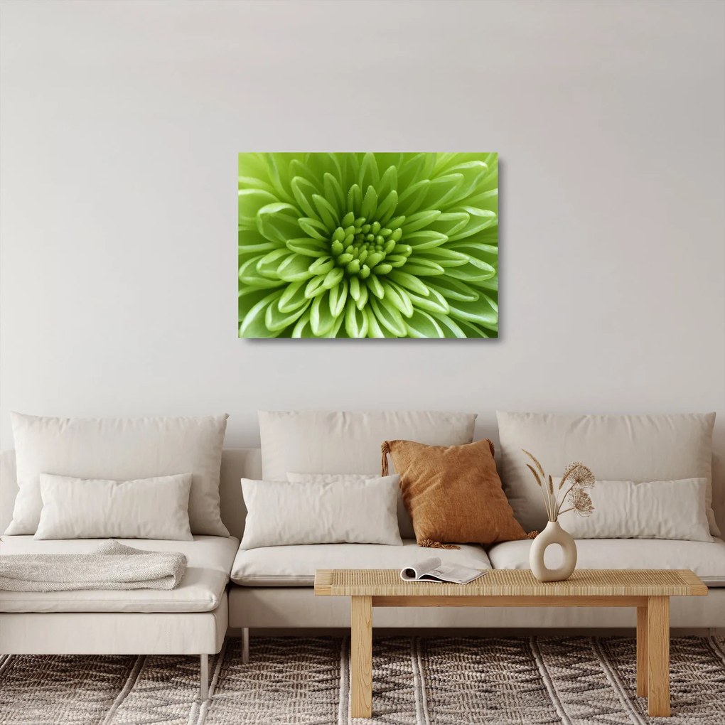 Sklenený obraz - Makro snímka rastliny (70x50 cm)