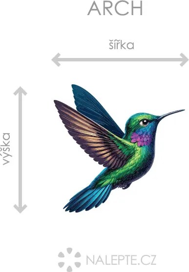 Kolibrík textilní prelepiteľná nálepka na stenu list 45 x 44 cm