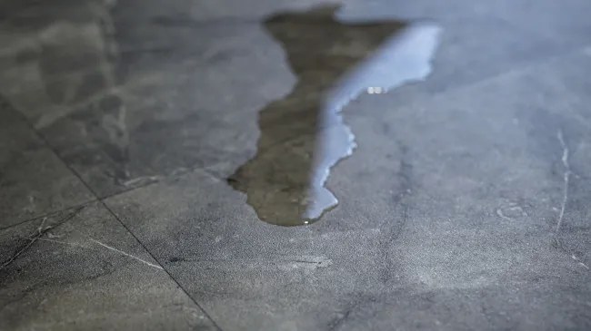 PVC podlaha Viva Venato S93 sivá