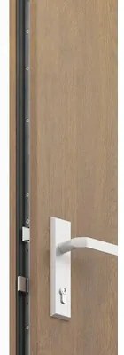 Kovové vchodové dvere S68 Neptun 90 P dub zlatý