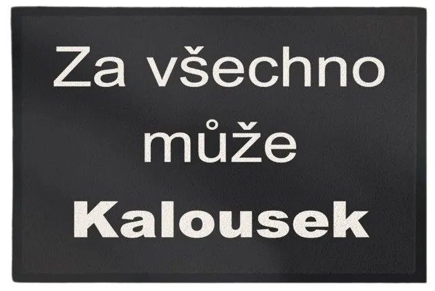 Rohožka Kalousek 40x60 cm – na von aj na doma, 40x60, čierna, GDmats