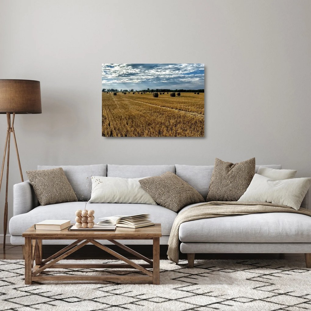 Sklenený obraz zozbieraného obilného poľa (70x50 cm)