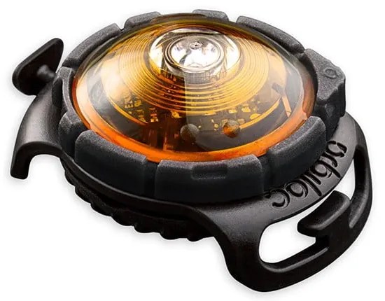 LED svetlo na obojok Yellow – Orbiloc