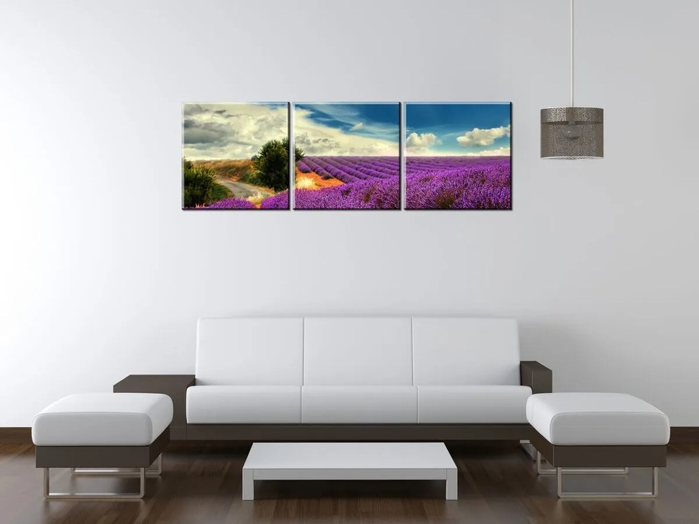 Gario Obraz na plátne Čarovná levanduľová krajina - 3 dielny Rozmery: 90 x 30 cm