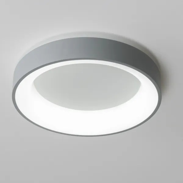 Brilagi - LED stmievateľné stropné svietidlo LED/40W/230V 3000-6500K sivá + DO