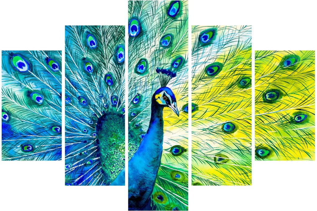 Obraz páva (150x105 cm)