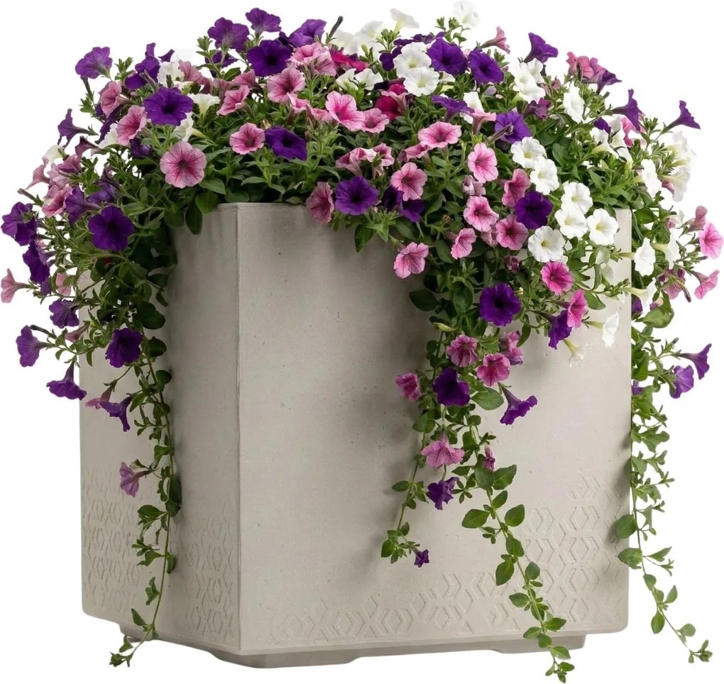 Květináč na kolečkách BETONIQUE 40x40 cm béžový