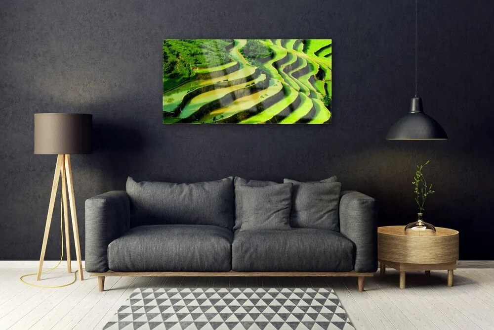 Skleneny obraz Pole ryža les umenie 100x50 cm