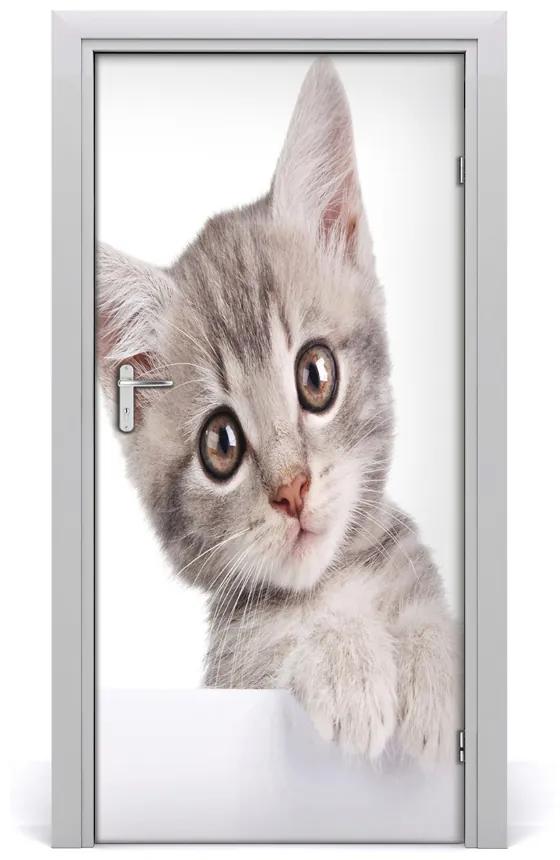 Samolepiace fototapety na dvere sivá mačka 85x205 cm