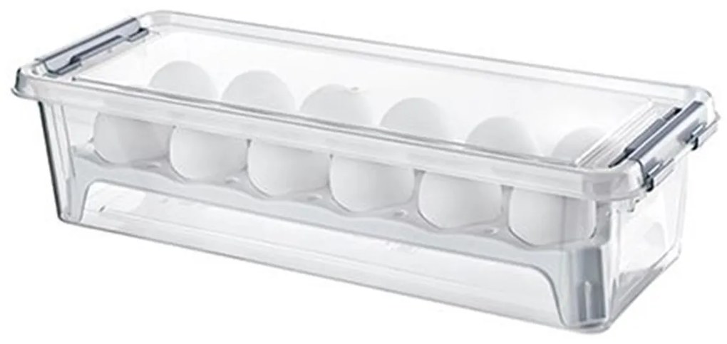 Orion Box na vajíčka, obal na 12ks vajec, FRESH