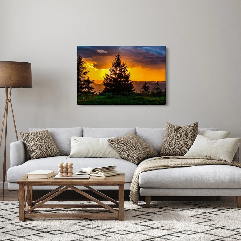 Obraz - ihličnany (90x60 cm)