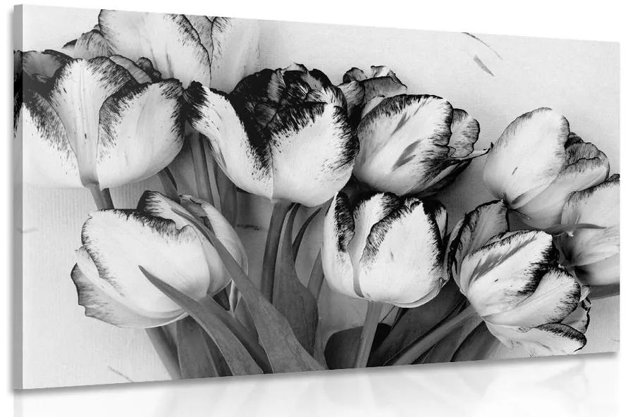 Obraz jarné tulipány v čiernobielom prevedení Varianta: 90x60