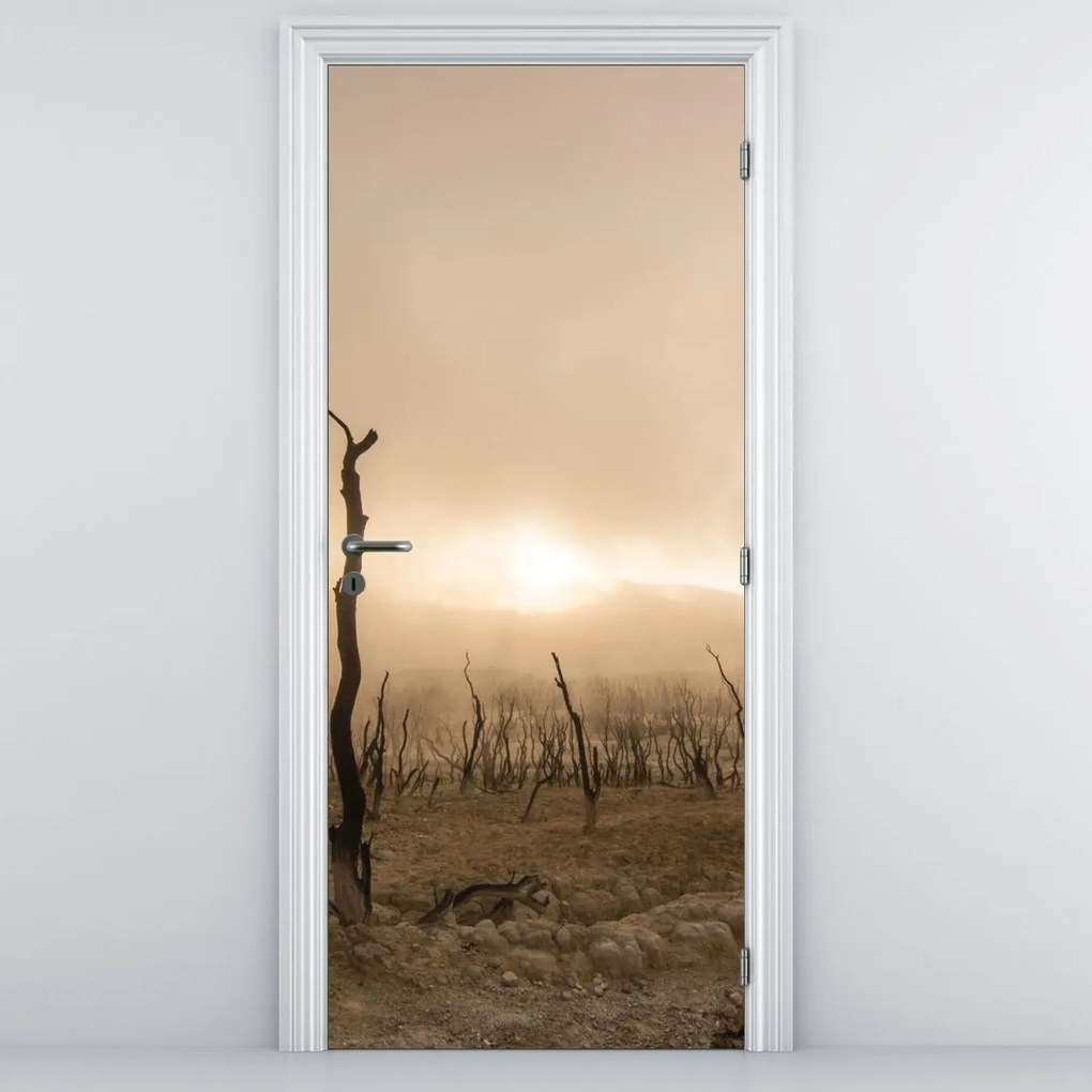 Fototapeta na dvere - Holé stromy (95x205cm)