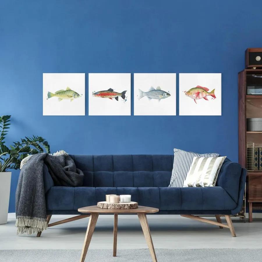 Manufakturer -  Štvordielny obraz Farebné zachytávanie - súprava rýb I