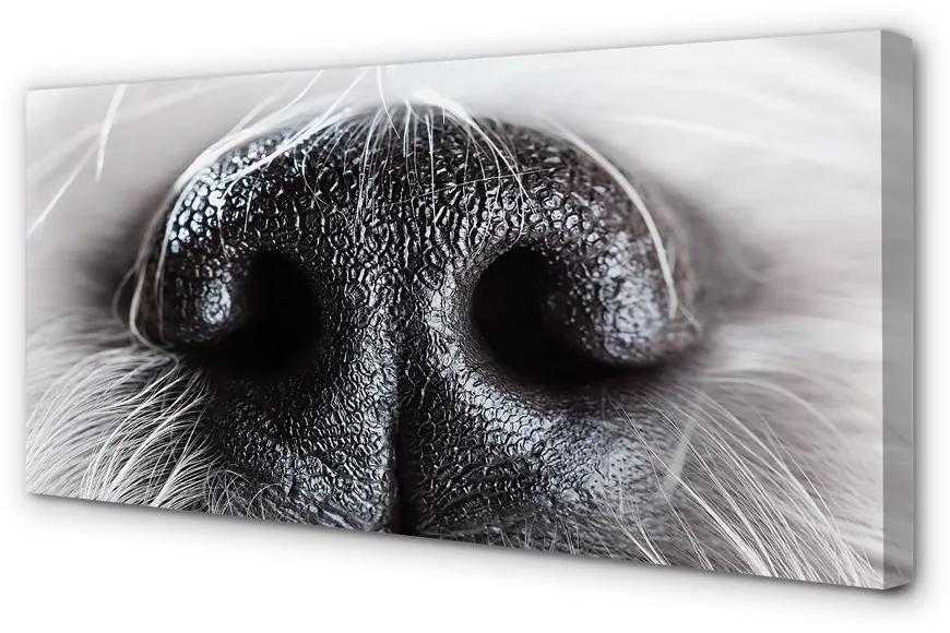 Obraz na plátne psie ňufák 140x70 cm