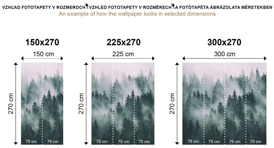 Samolepiaca fototapeta zasnežené čiernobiele borovicové stromy