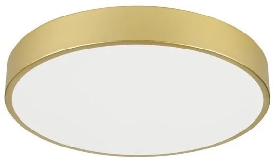 Immax NEO 07292L - LED+CCT stmievateľné stropné svietidlo SEMPLICI 36W/230V pr. 40 cm+DO