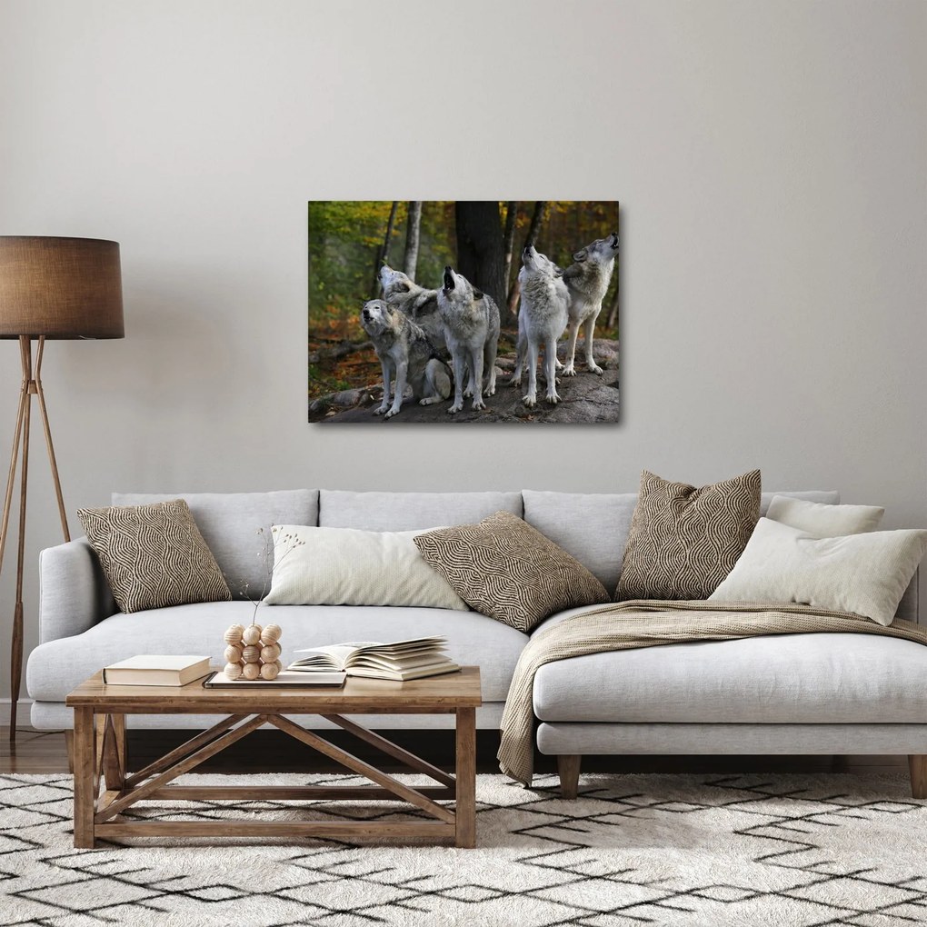 Obraz - Vlci na skale (70x50 cm)
